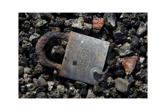Best Remains – Fine Art Paper Print