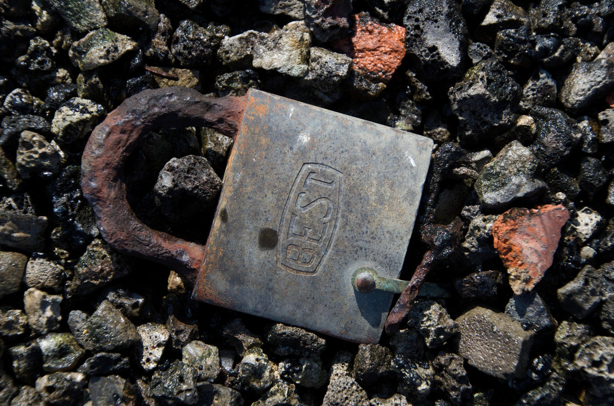 Best Remains – Metal Print