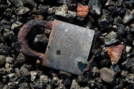 Best Remains – Metal Print