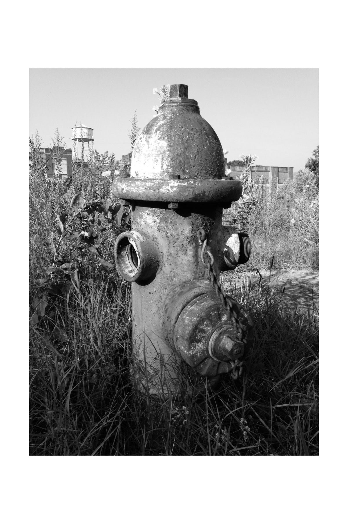 Forgotten Flow – Fine Art Paper Print