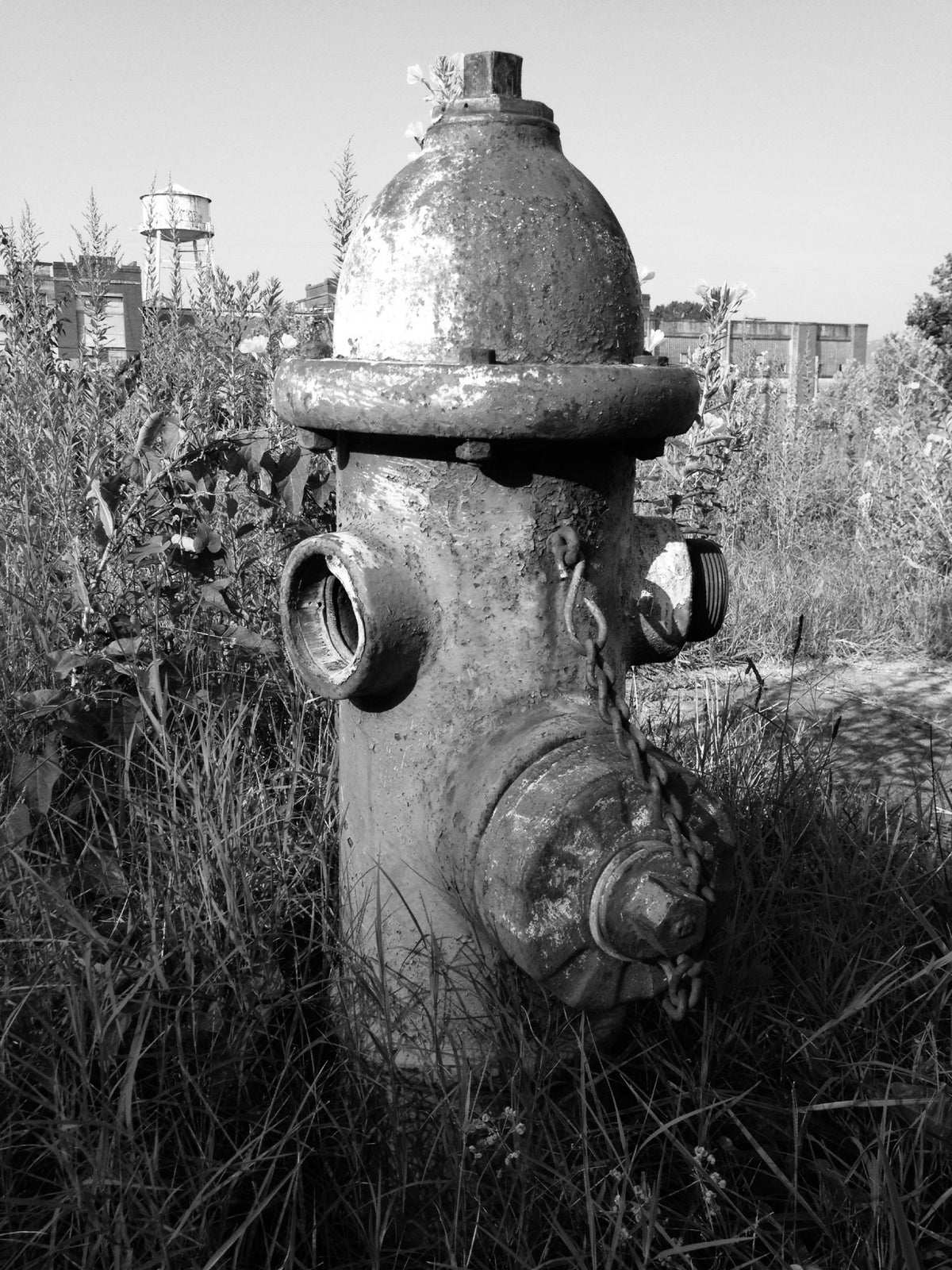 Forgotten Flow – Metal Print