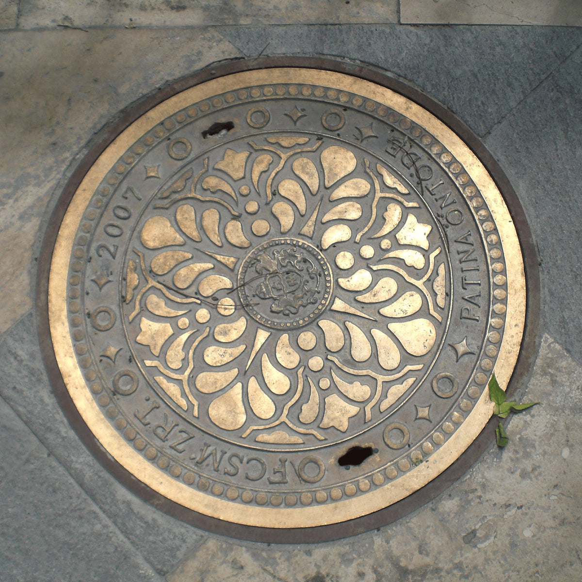 Foundry’s Bloom – Metal Print