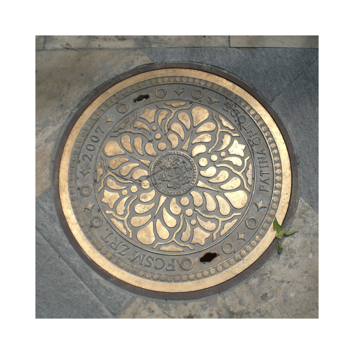 Foundry’s Bloom – Fine Art Paper Print
