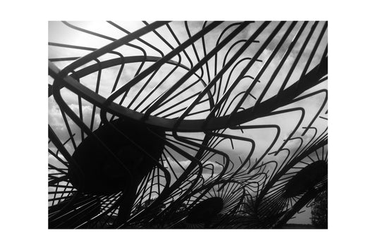 Hayrake Sunflowers – Fine Art Paper Print