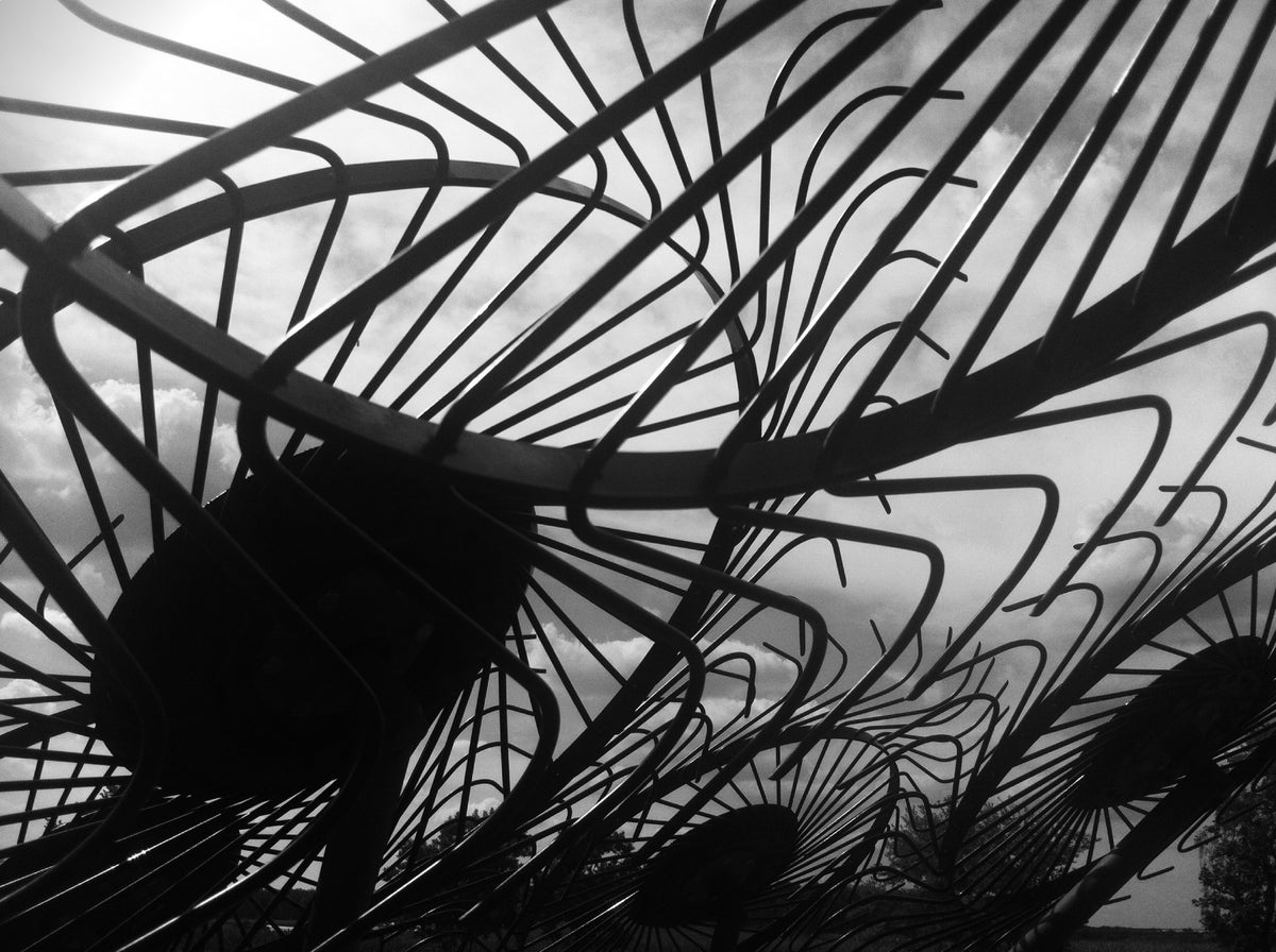 Hayrake Sunflowers – Metal Print