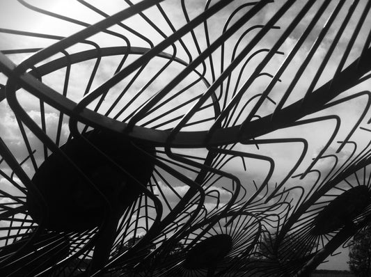 Hayrake Sunflowers – Metal Print