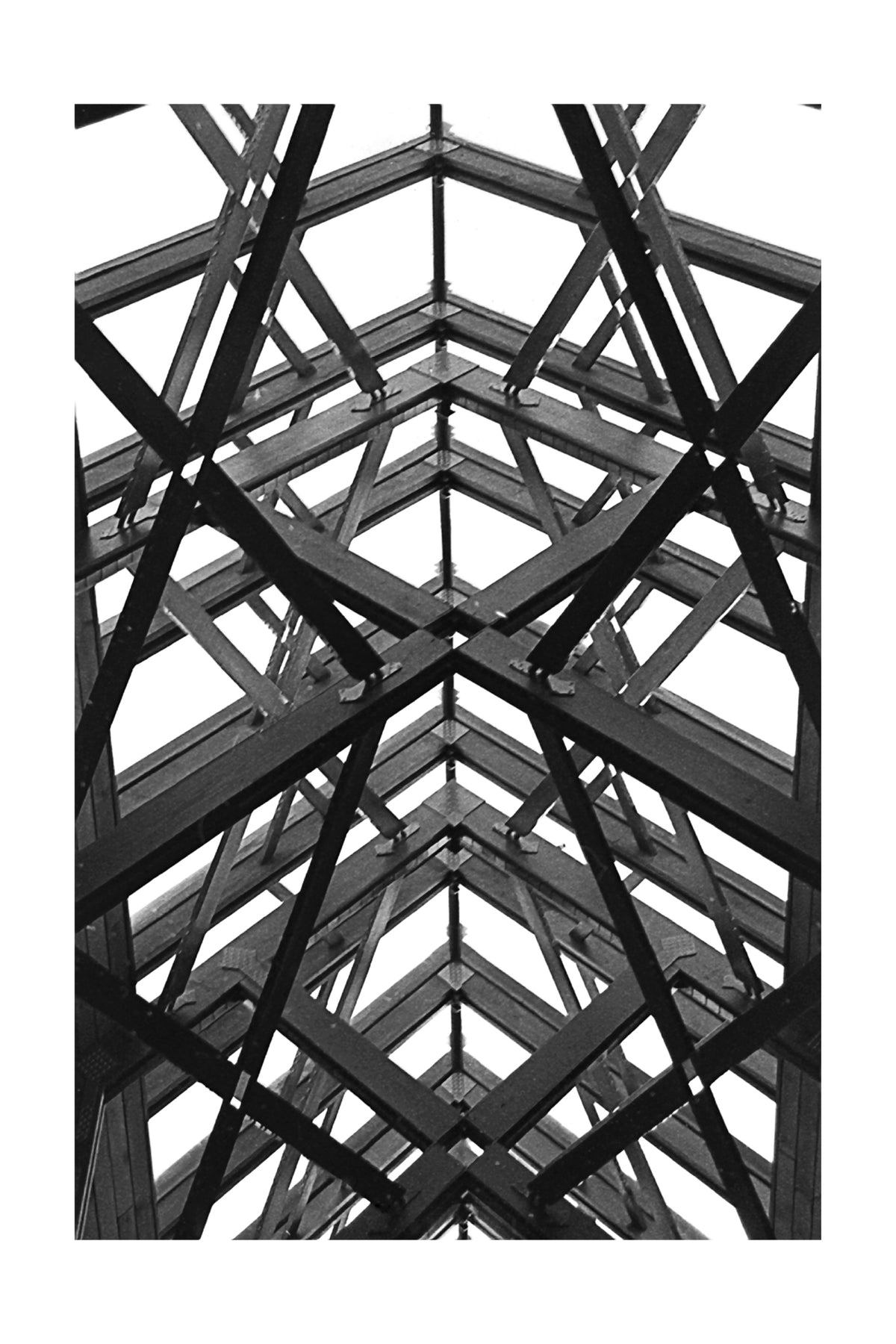 Structured Grace – Fine Art Paper Print